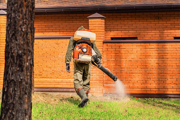 Trusted Cockroach Control service in Sneedville, TN - Nex Pest Control